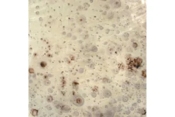 Antique Round Drum Coffee Table -Furniture Store 307395 detail 48