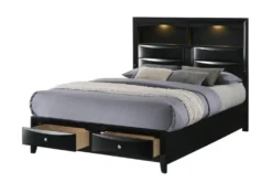 Faron Black King Bookcase Bed With Storage & LED Lighting