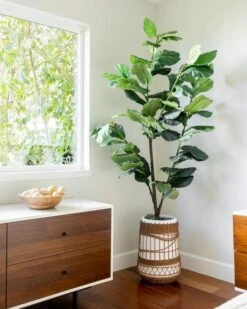 Clark 6 Drawer Dresser -Furniture Store normal 95